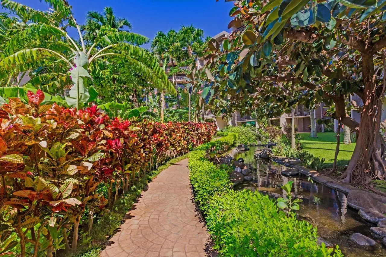 Apartment Kaanapali Shores 422 Lahaina